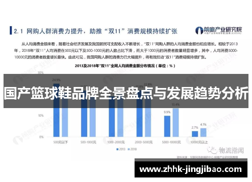 国产篮球鞋品牌全景盘点与发展趋势分析