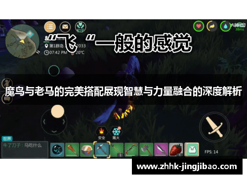 魔鸟与老马的完美搭配展现智慧与力量融合的深度解析